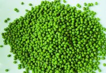 Cách trị giời leo và những phương pháp phòng ngừa bệnh