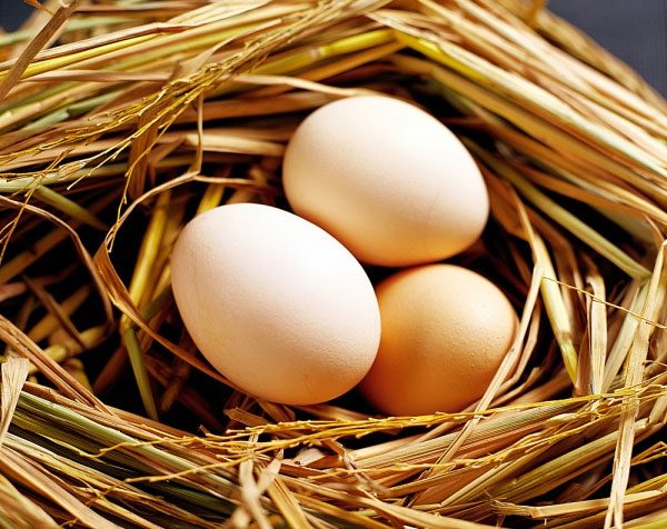 Người mắc bệnh quai bị có được ăn trứng không?