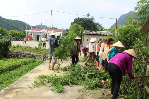 Dịch sốt xuất huyết và những dấu hiệu ban đầu rất dễ bị bỏ quả Dịch sốt xuất huyết và những dấu hiệu ban đầu rất dễ bị bỏ quả