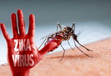Nhiễm virus Zika có được hôn môi?