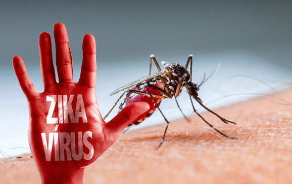 Nhiễm virus Zika có được hôn môi?