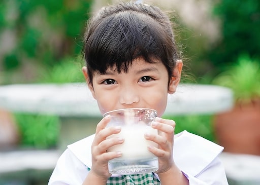 Thành phần lactose trong sữa
